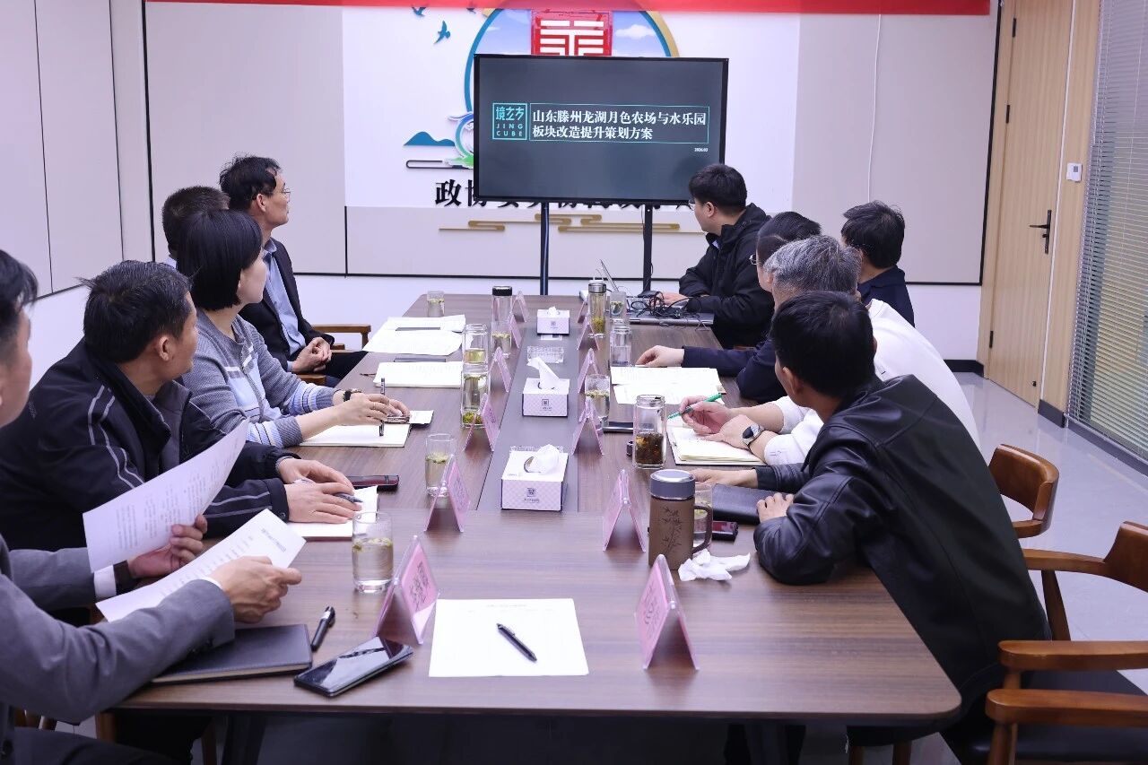 太阳成集团tyc33455集团召开 “龙湖月色” 项目专题研讨会